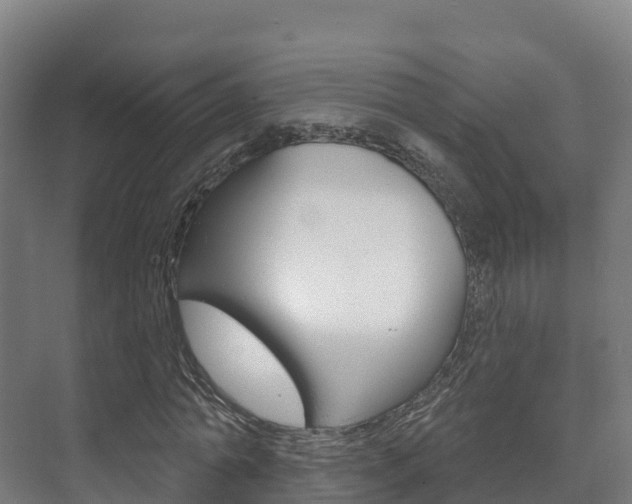 X0000073710774200608031039