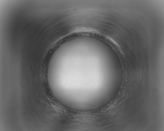 X0000073710775200608031039