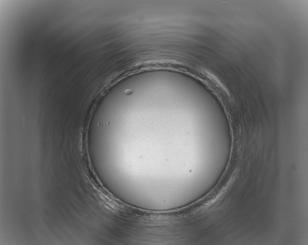 X0000073710777200608031039