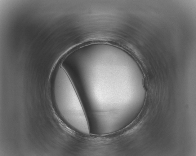 X0000073710779200608031039