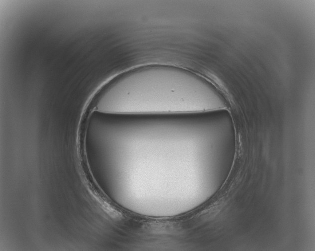 X0000073710780200608031039