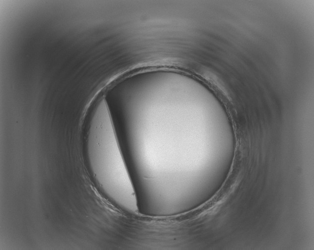 X0000073710781200608031039