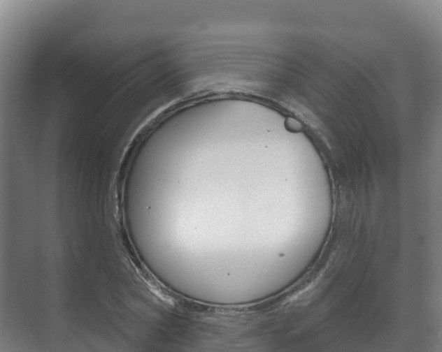 X0000073710782200608031039