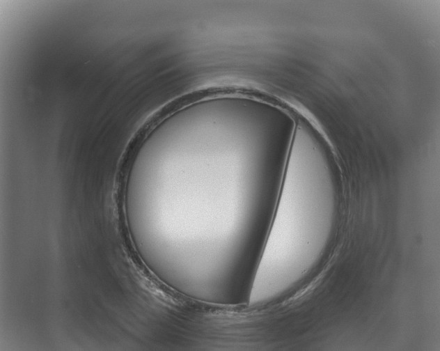 X0000073710783200608031039