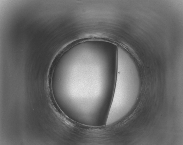 X0000073710784200608031039