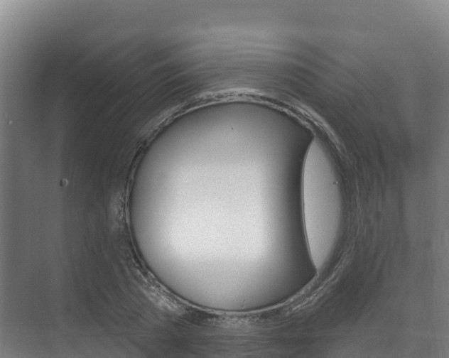 X0000073710785200608031039