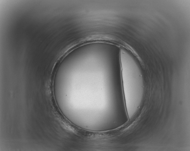 X0000073710786200608031039