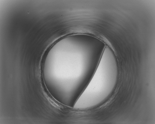 X0000073710787200608031039