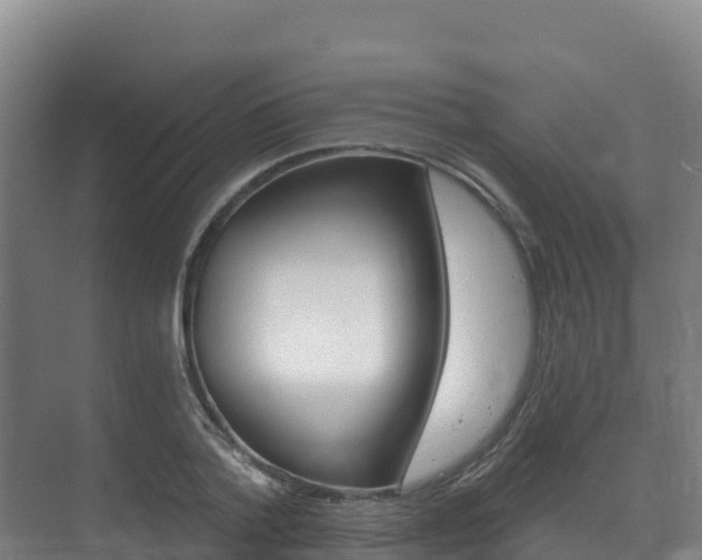 X0000073710788200608031039