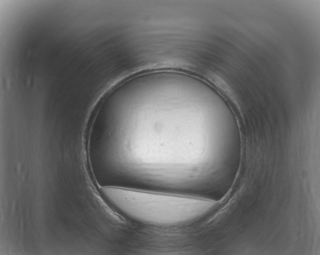 X0000073710789200608031039