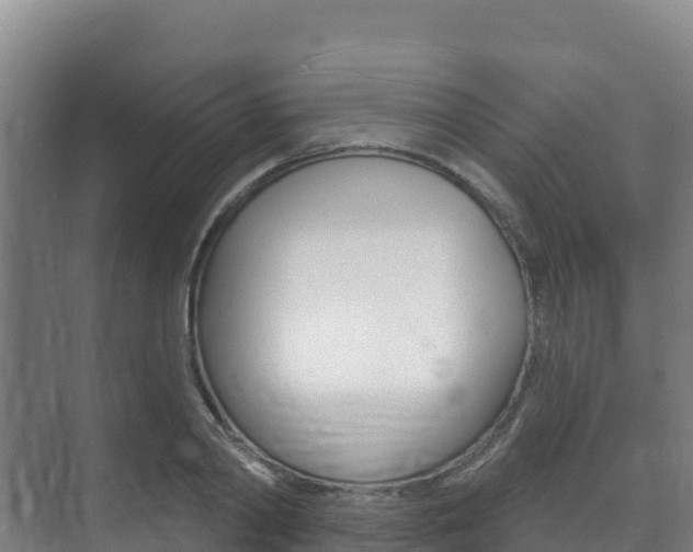 X0000073710790200608031039