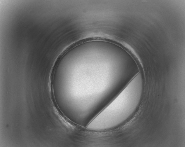 X0000073710791200608031039