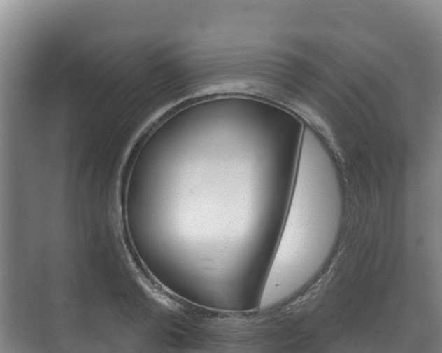 X0000073710792200608031039