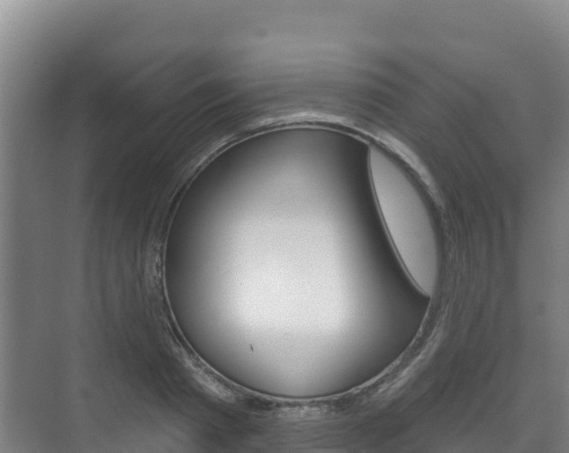 X0000073710793200608031039