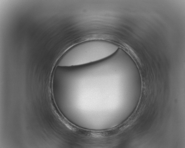 X0000073710794200608031039