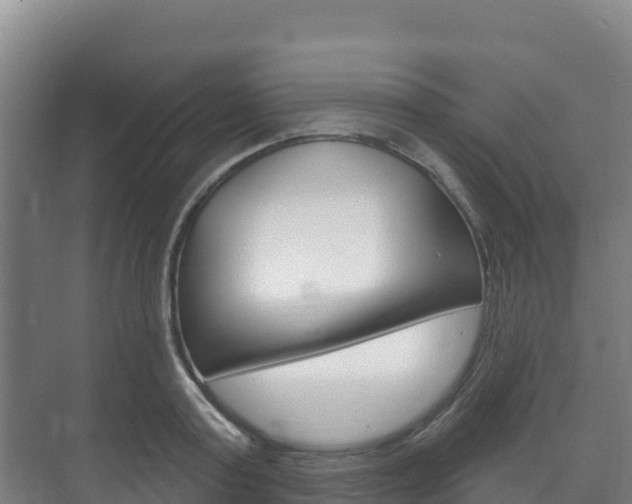 X0000073710795200608031039