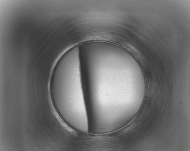 X0000073710796200608031039