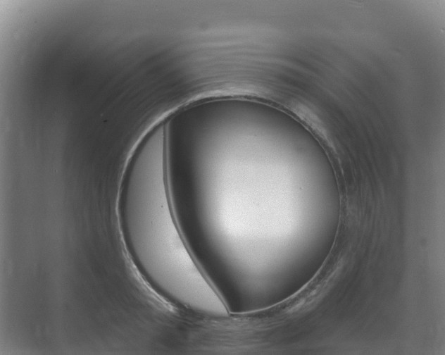 X0000073710797200608031039