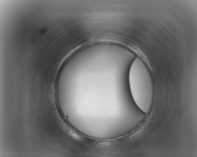 X0000073710798200608031039