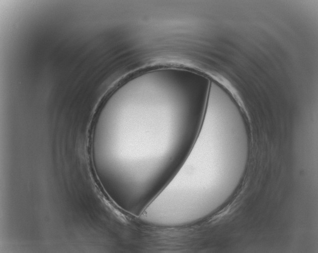 X0000073710799200608031039