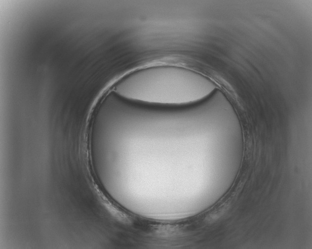 X0000073710800200608031039