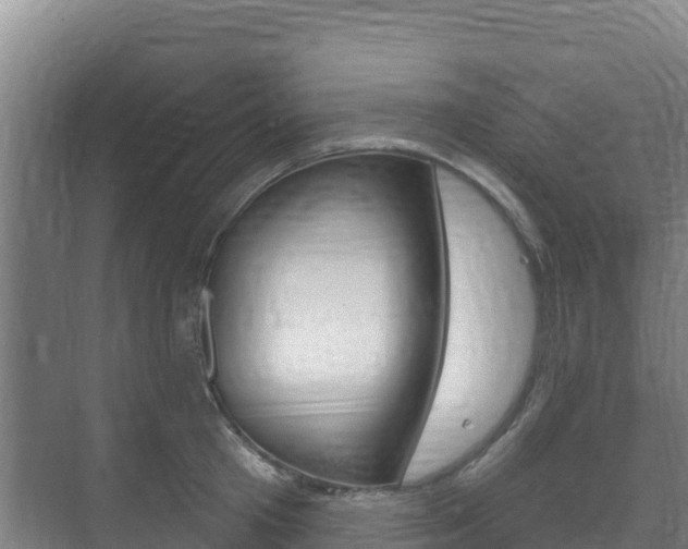 X0000073710801200608031039