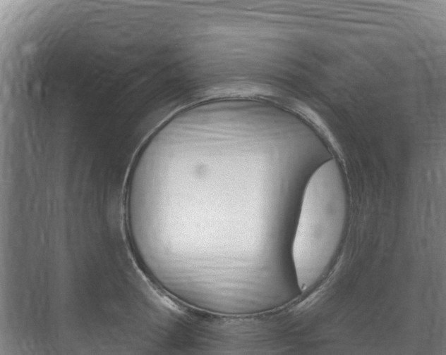 X0000073710802200608031039