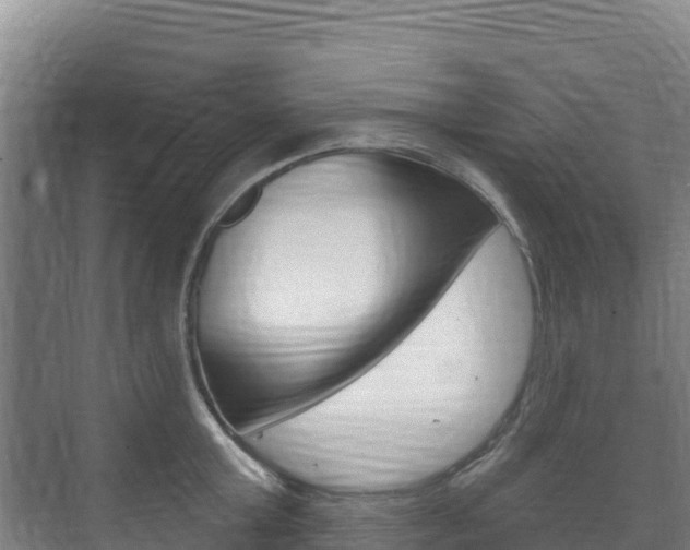 X0000073710803200608031039