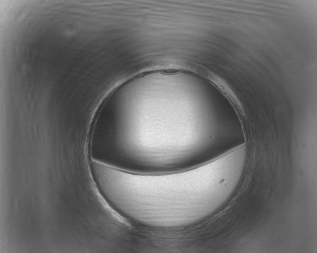 X0000073710805200608031039