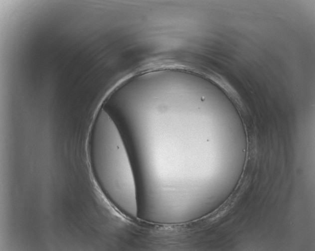 X0000073710806200608031039