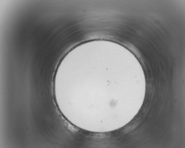 X0000073710807200608031039