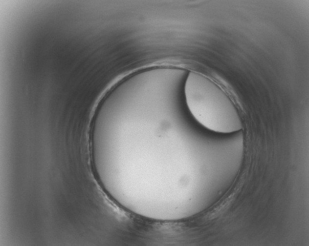 X0000073710808200608031039