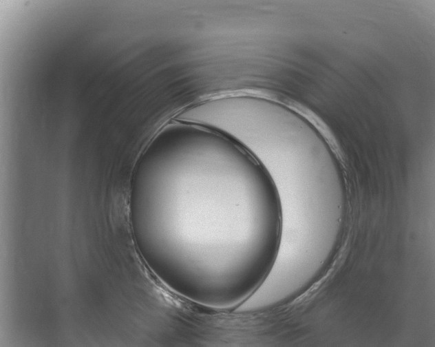 X0000073710809200608031039