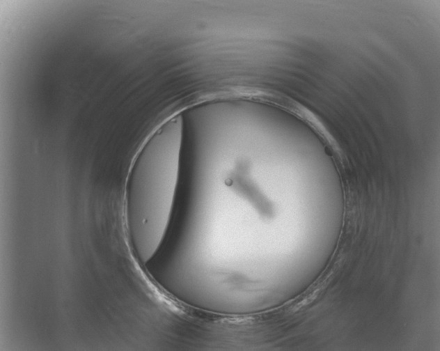 X0000073710810200608031039