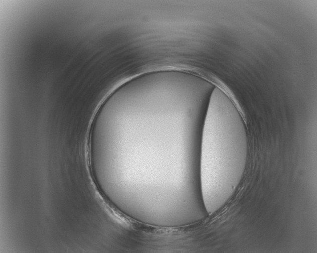 X0000073710811200608031039