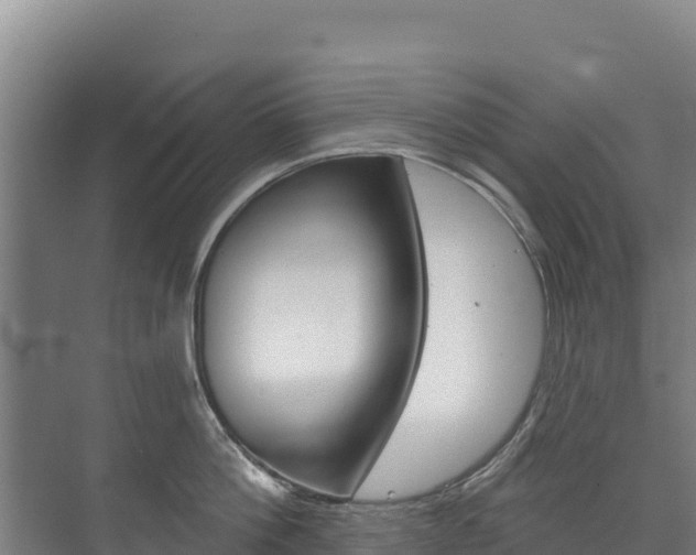 X0000073710812200608031039