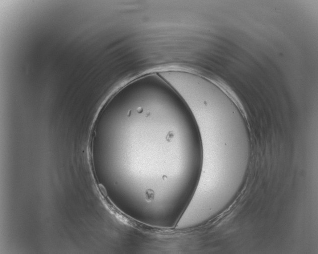 X0000073710813200608031039