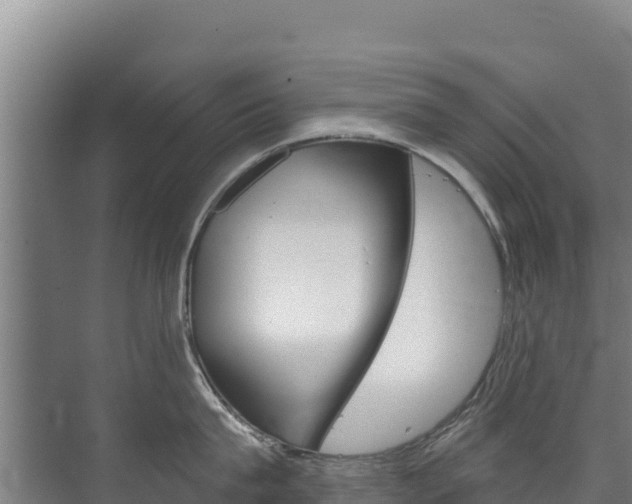 X0000073710815200608031039