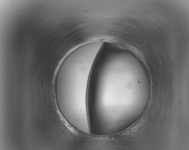 X0000073710816200608031039