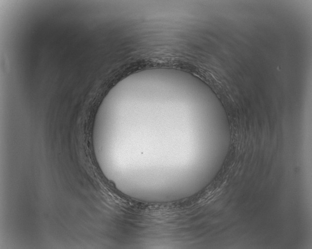 X0000073710817200608031038