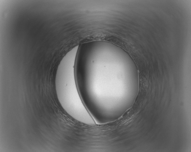 X0000073710818200608031038