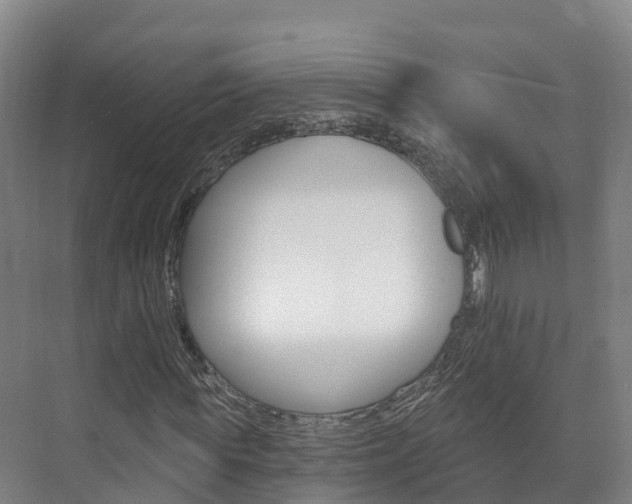 X0000073710819200608031038