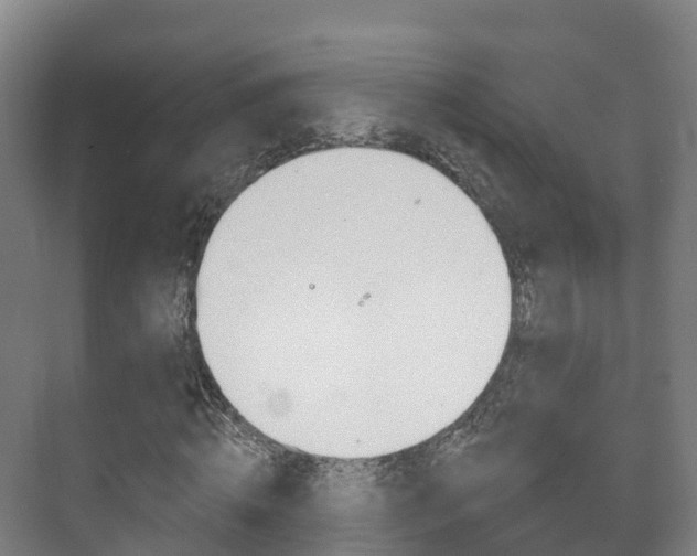 X0000073710820200608031038