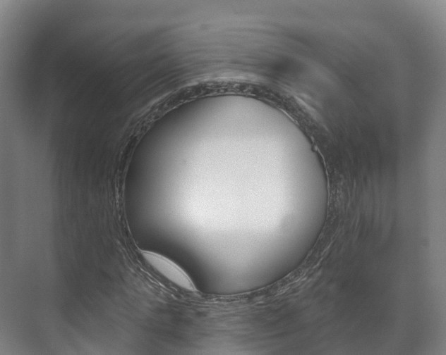 X0000073710821200608031038