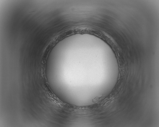 X0000073710823200608031038