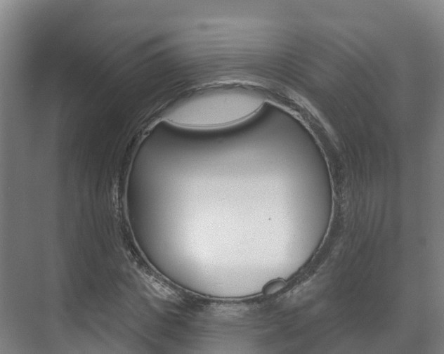 X0000073710825200608031038