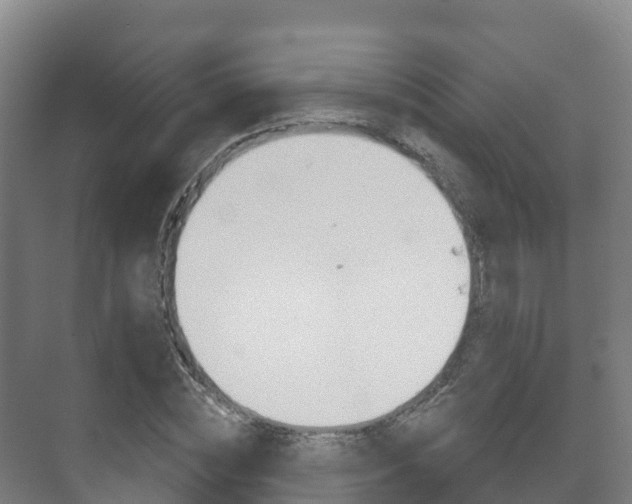 X0000073710828200608031038