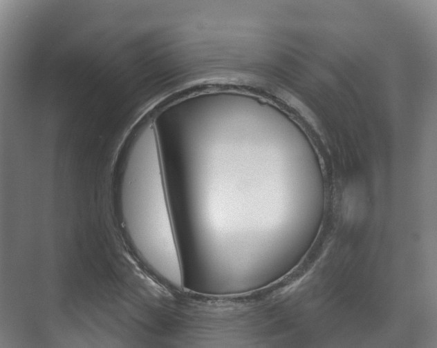 X0000073710829200608031038