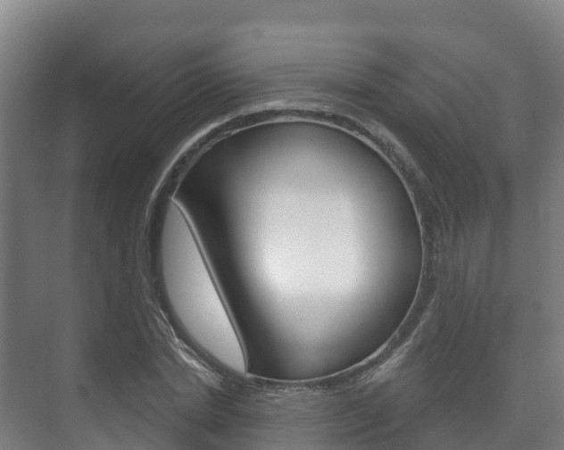 X0000073710830200608031038