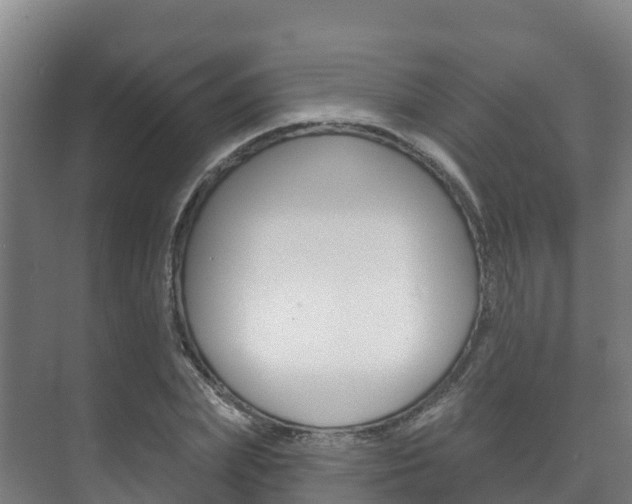 X0000073710831200608031038